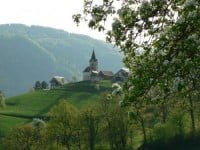 65136090_vine-500-let-stara-cerkvica-jpg